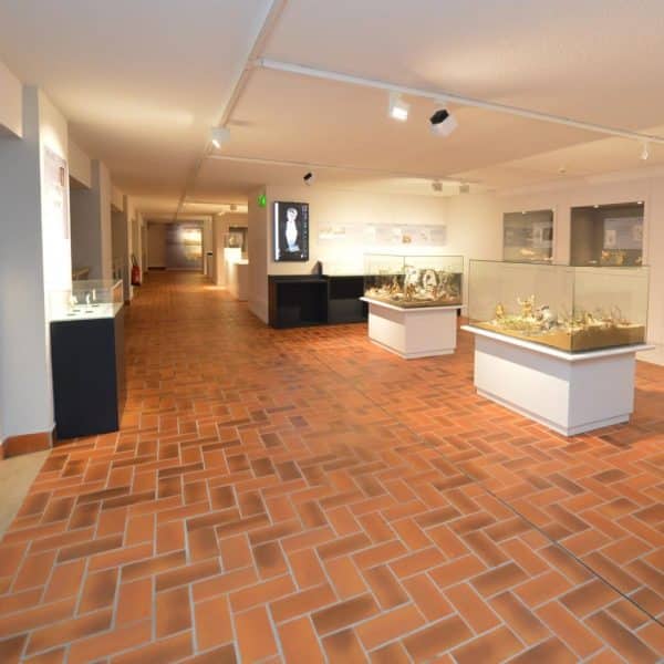 Musée Terra Amata nice