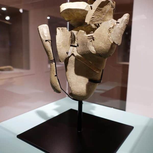 Musée Terra Amata nice