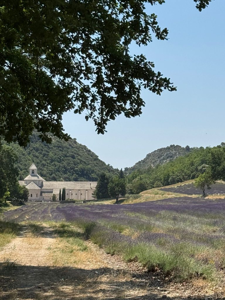 abbaye de senanque lubiron