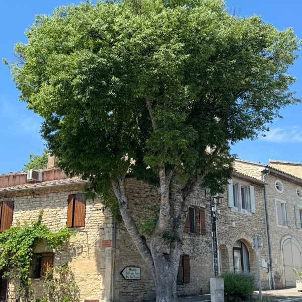village goult luberon