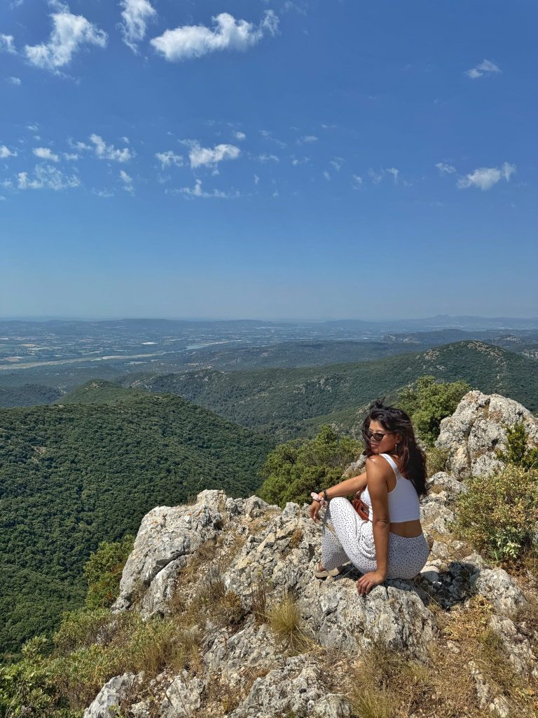 la forêt de cèdres luberon