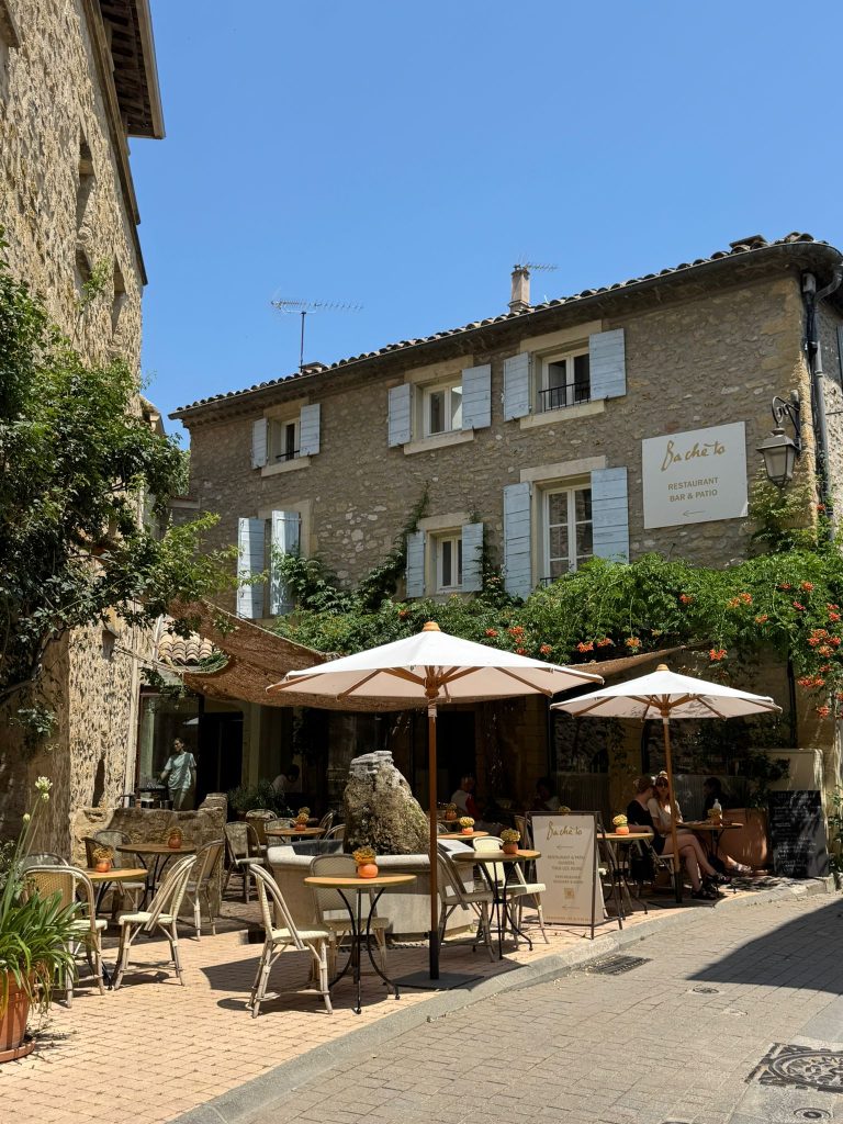 la forêt de cèdres luberon