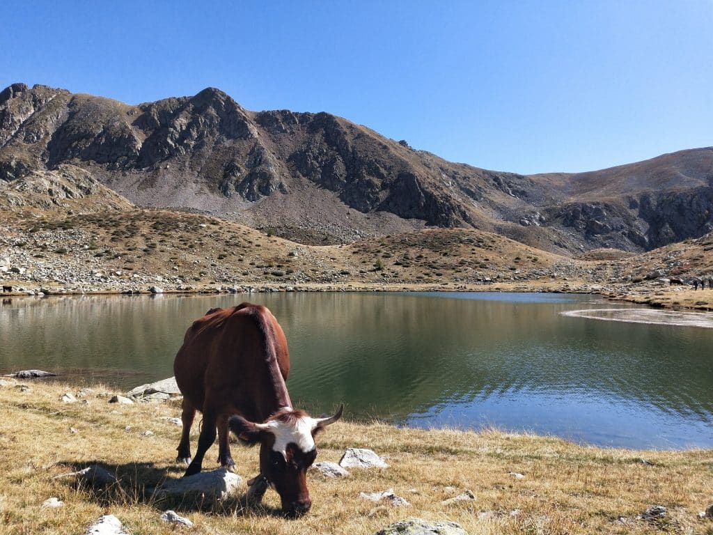 parc du mercantour lac de prals