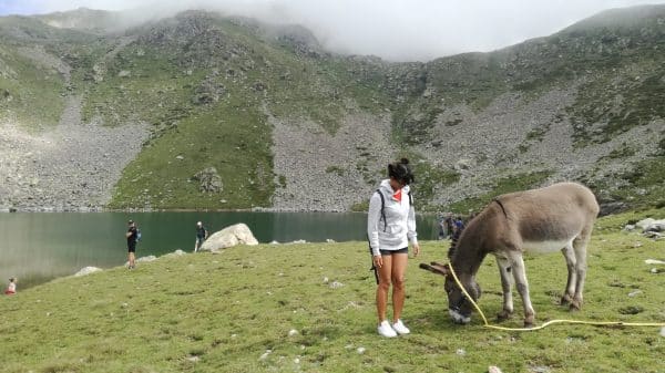 parc du mercantour lac des millefonts