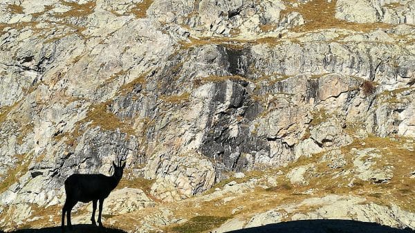 parc du mercantour vallée de la gordolasque