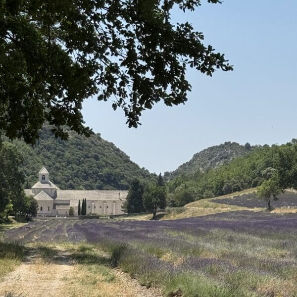 abbaye senanque luberon provence