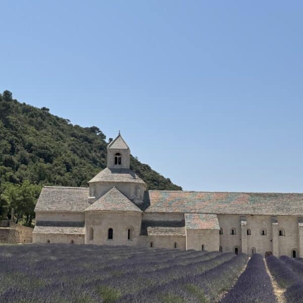 abbaye senanque luberon provence