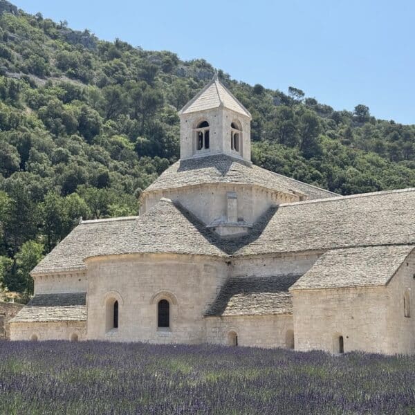 abbaye senanque luberon provence