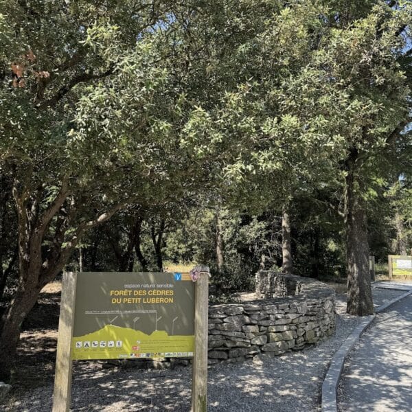 forêt des cèdres luberon provence