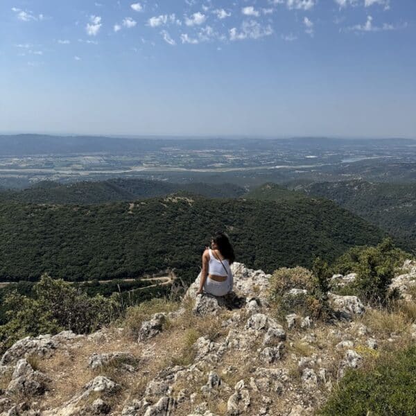 forêt des cèdres luberon provence