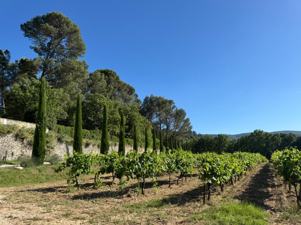 visiter la provence luberon
