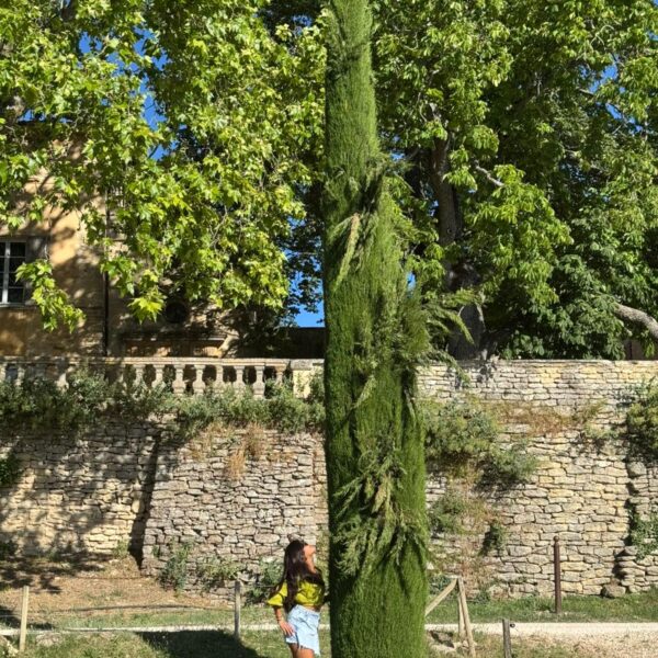 chateau la canorgue provence luberon