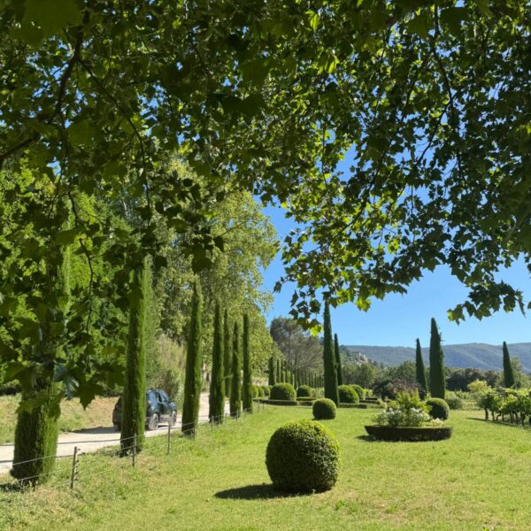 chateau la canorgue provence luberon
