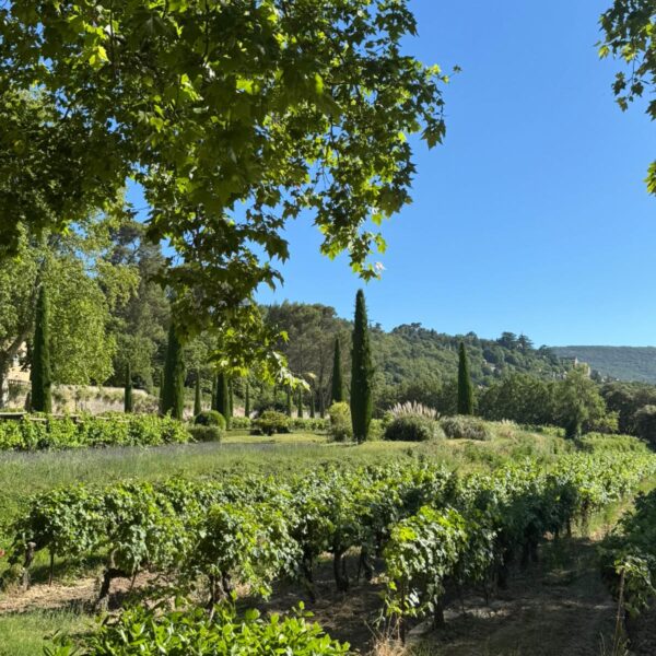 chateau la canorgue provence luberon