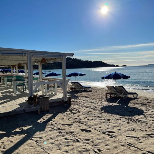 les canetons plage privée lavandou