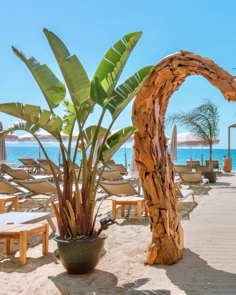 le plan beach salins hyères plage privée
