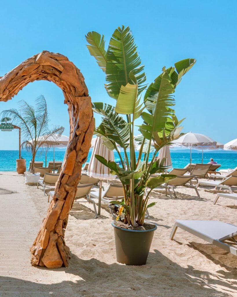 le plan beach salins hyères plage privée